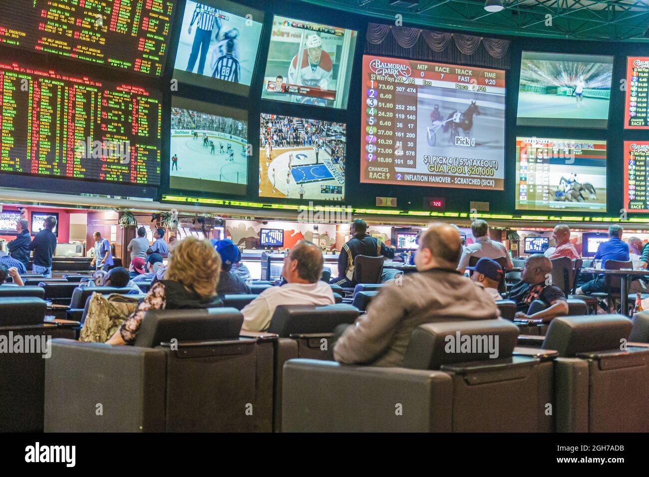 gambling sportsbook