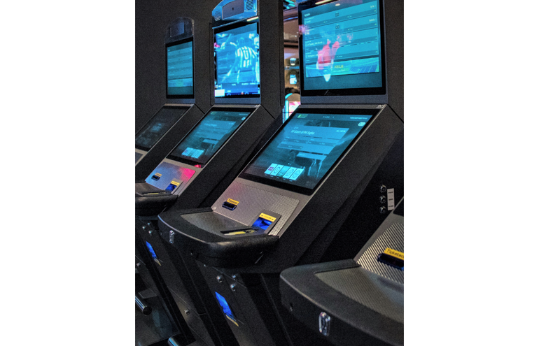gambling sportsbook